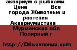 аквариум с рыбками › Цена ­ 15 000 - Все города Животные и растения » Аквариумистика   . Мурманская обл.,Полярный г.